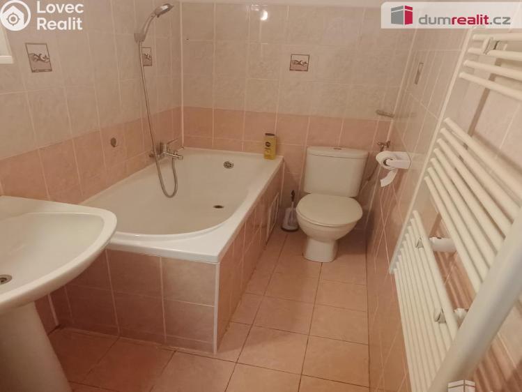 Pronájem bytu 1+1 Děčín, Fibichova č. 8