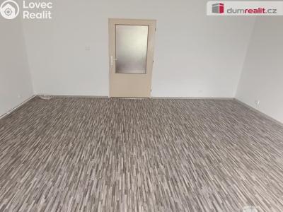 Pronájem bytu 1+1 Děčín, Fibichova č. 6