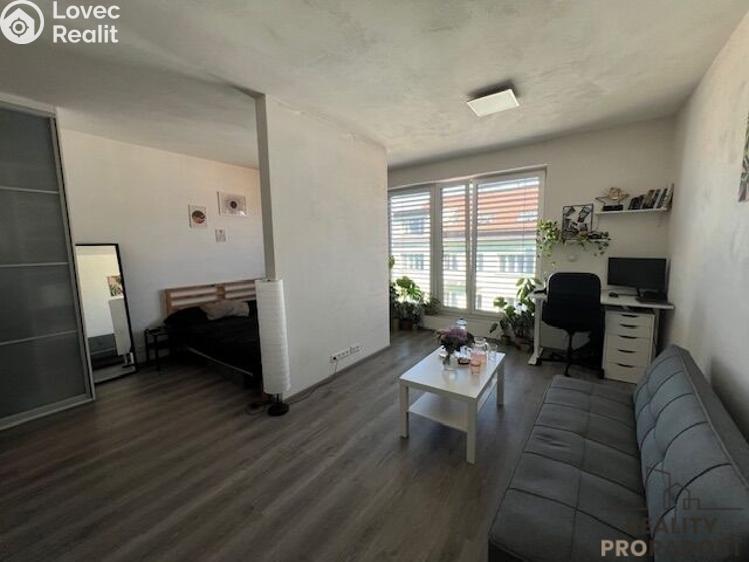 Rent apartment 1+KK Brno, Milady Horákové č. 1