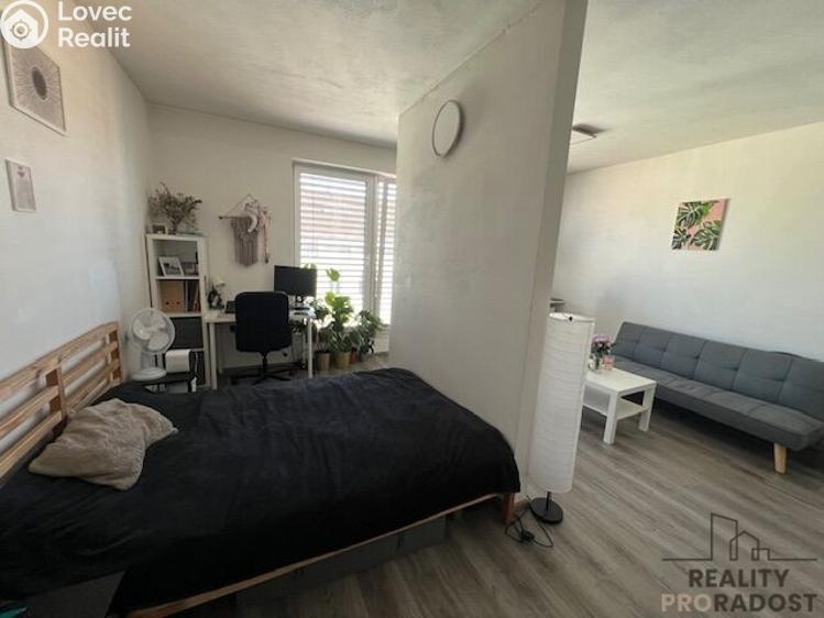 Rent apartment 1+KK Brno, Milady Horákové č. 3