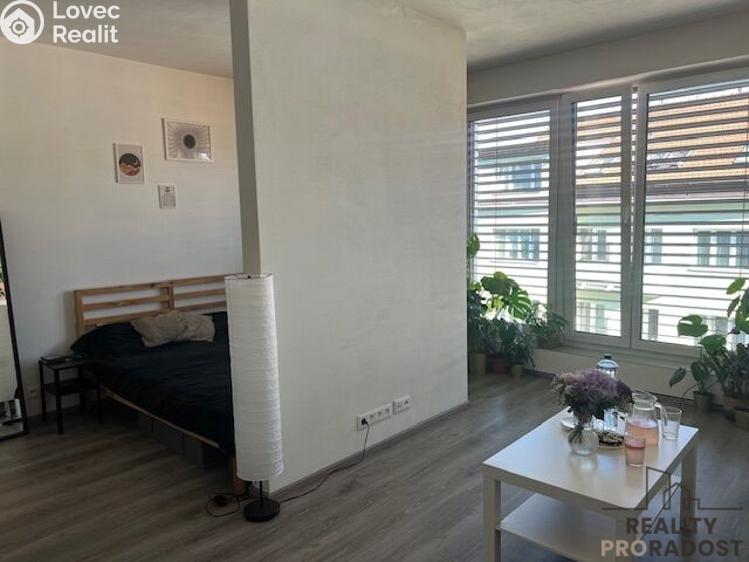 Rent apartment 1+KK Brno, Milady Horákové č. 4