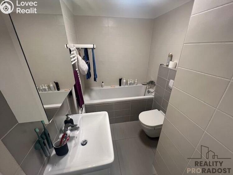 Rent apartment 1+KK Brno, Milady Horákové č. 6