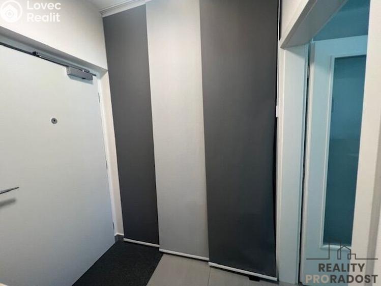 Rent apartment 1+KK Brno, Milady Horákové č. 7