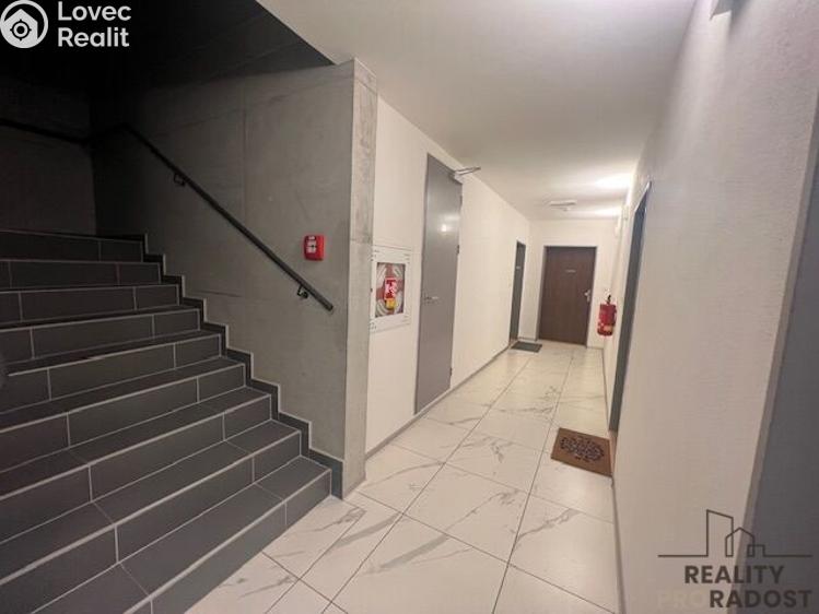 Rent apartment 1+KK Brno, Milady Horákové č. 8