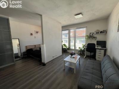 Rent apartment 1+KK Brno, Milady Horákové č. 1