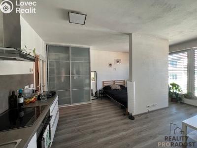 Rent apartment 1+KK Brno, Milady Horákové č. 2