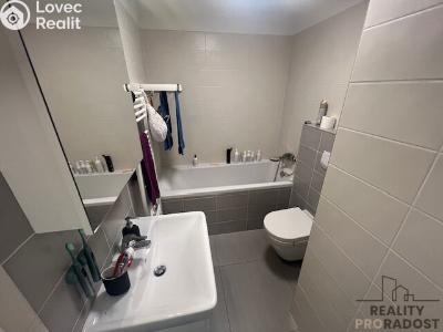 Rent apartment 1+KK Brno, Milady Horákové č. 6