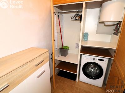 Оренда сімейного будинку Želešice, 24. dubna 2 č. 6