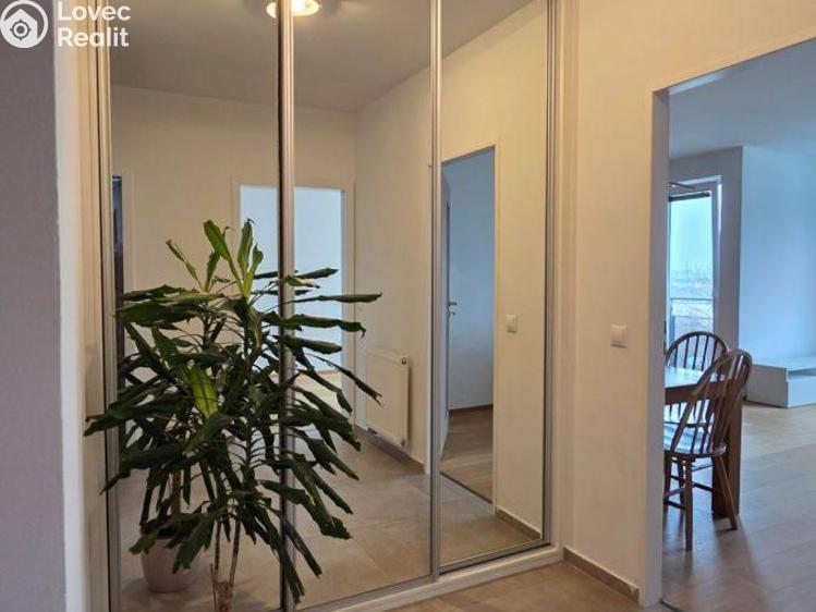 Pronájem bytu 3+KK Praha, Marešova č. 4