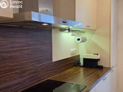 Pronájem bytu 3+KK Praha, Marešova č. 3