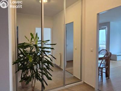 Pronájem bytu 3+KK Praha, Marešova č. 4