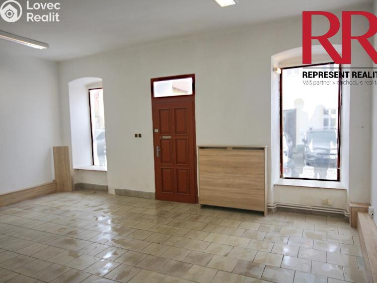 Rent commercial space Dobřany, Vančurova č. 2