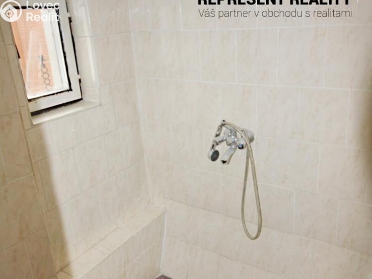 Rent commercial space Dobřany, Vančurova č. 10