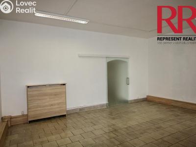 Rent commercial space Dobřany, Vančurova č. 3