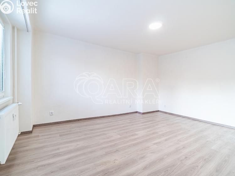 Pronájem bytu 2+1 Kralupy nad Vltavou, Dr. E. Beneše 601 č. 6