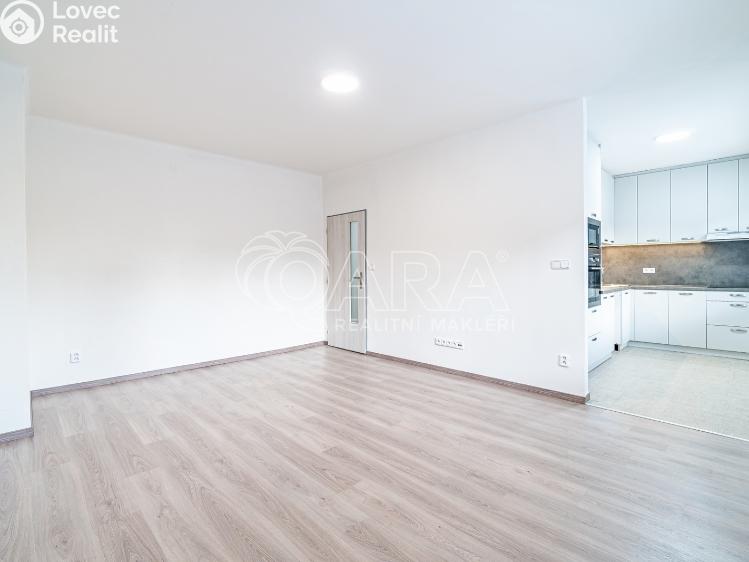 Pronájem bytu 2+1 Kralupy nad Vltavou, Dr. E. Beneše 601 č. 7