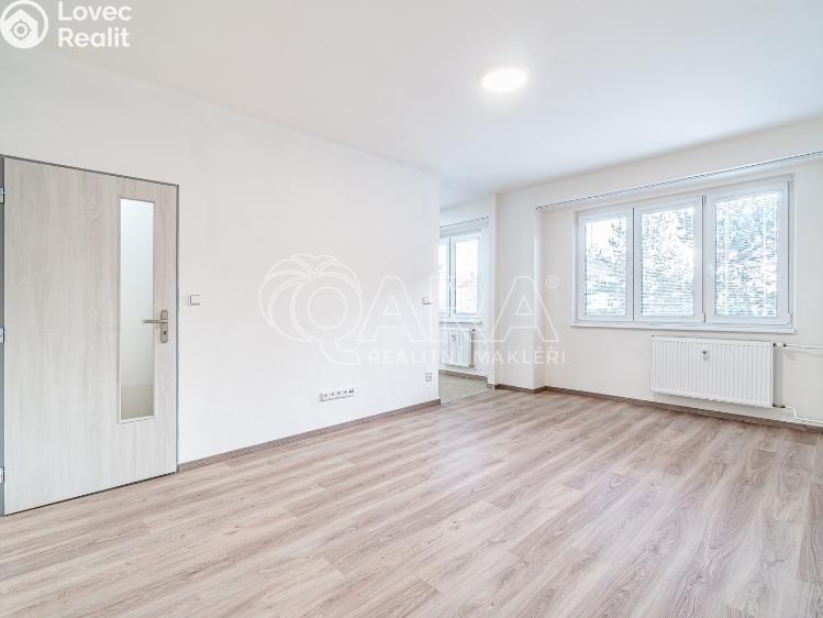 Pronájem bytu 2+1 Kralupy nad Vltavou, Dr. E. Beneše 601 č. 9