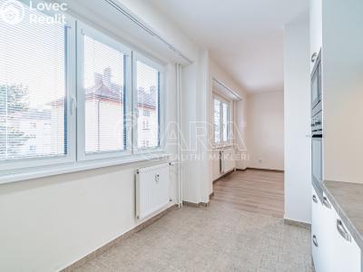 Pronájem bytu 2+1 Kralupy nad Vltavou, Dr. E. Beneše 601 č. 4