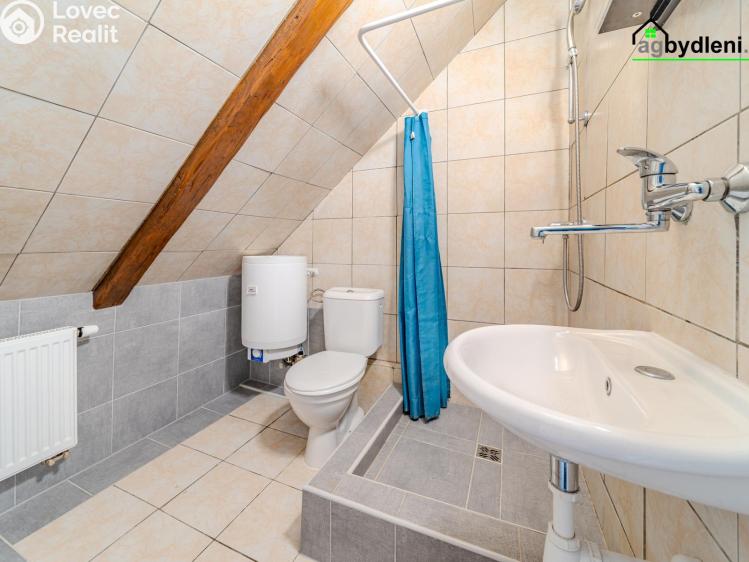 Продаж багатогенного будинку Holýšov č. 15