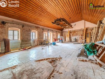 Продажа многогенного дом Holýšov č. 4