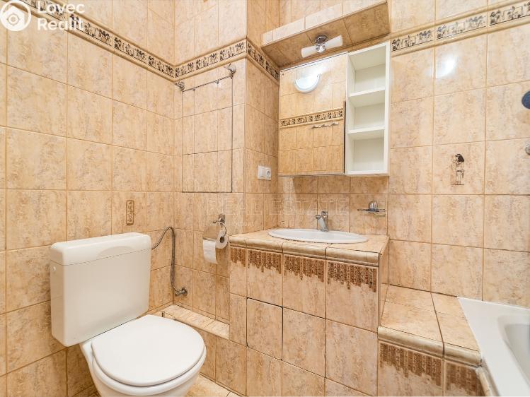 Prodej bytu 3+1 Planá, Fučíkova č. 10