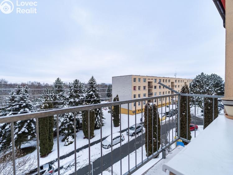 Prodej bytu 3+1 Planá, Fučíkova č. 11