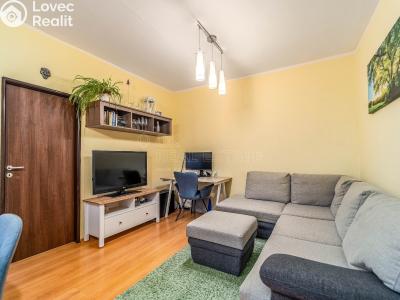 Prodej bytu 3+1 Planá, Fučíkova č. 1