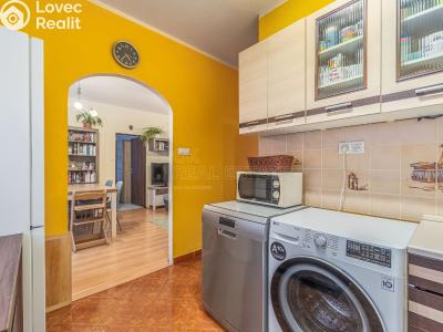 Prodej bytu 3+1 Planá, Fučíkova č. 6