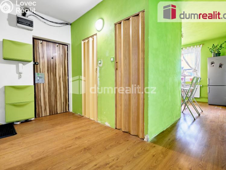 Prodej bytu 2+1 Ostrov, Lidická č. 10