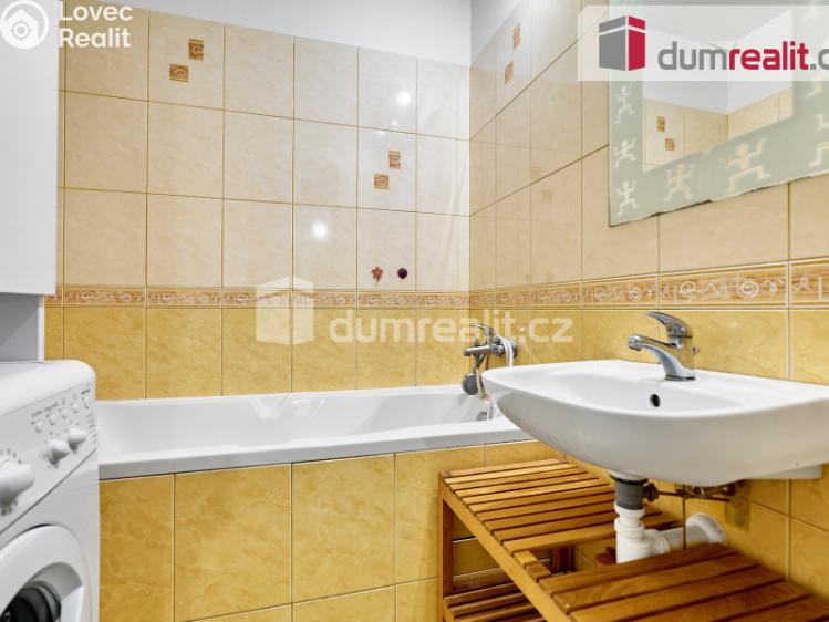 Prodej bytu 2+1 Ostrov, Lidická č. 13