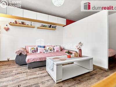 Prodej bytu 2+1 Ostrov, Lidická č. 4