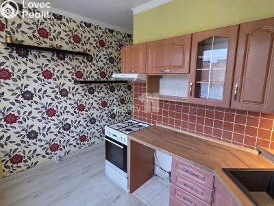 Pronájem bytu 1+1 Chodov, Hlavní č. 2