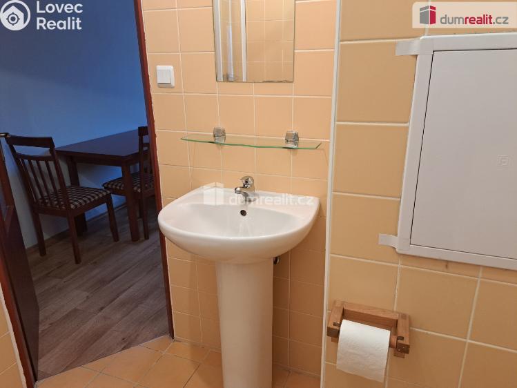 Аренда квартиры 1+1 Ústí nad Labem, Šumavská č. 13