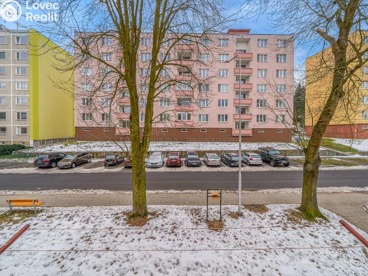 Prodej bytu 2+1 Ostrov, Lidická č. 12