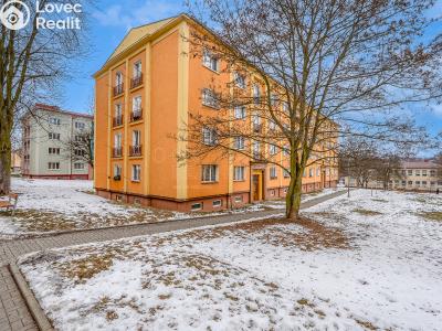 Продажа квартиры 2+1 Ostrov, Lidická č. 4