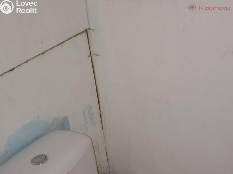 Продажа квартиры 1+1 Ústí nad Labem, Jindřicha Plachty 177 č. 7