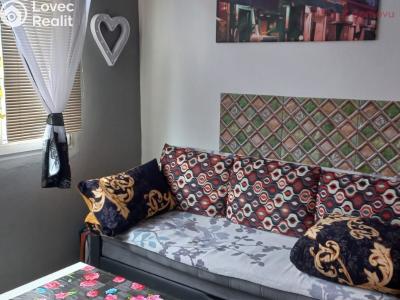 Sale apartment 1+1 Ústí nad Labem, Jindřicha Plachty 177 č. 4