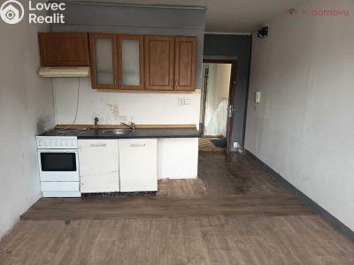 Prodej bytu 1+1 Ústí nad Labem, Jindřicha Plachty 177 č. 1