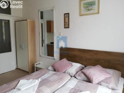 Pronájem pokoje Mariánské Lázně, Kubelíkova č. 4