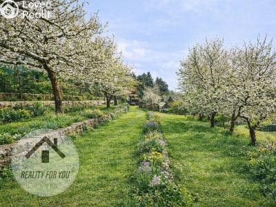 Prodej chaty Nový Bor, Hřebenka 28 č. 2