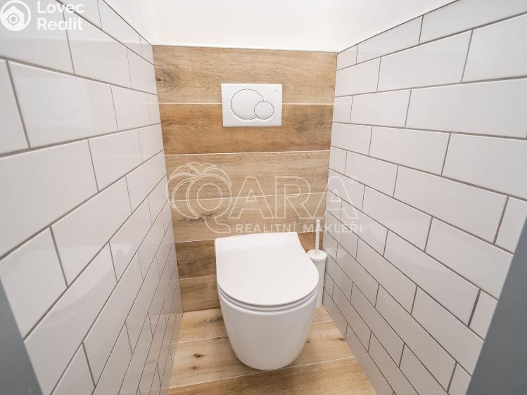 Pronájem bytu 3+KK Praha, Litvínovská 590/8 č. 12