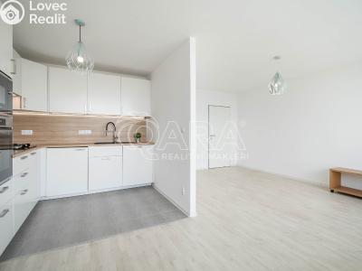 Pronájem bytu 3+KK Praha, Litvínovská č. 1