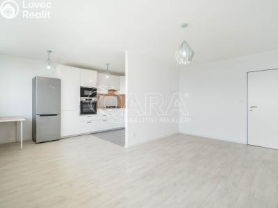 Pronájem bytu 3+KK Praha, Litvínovská č. 4