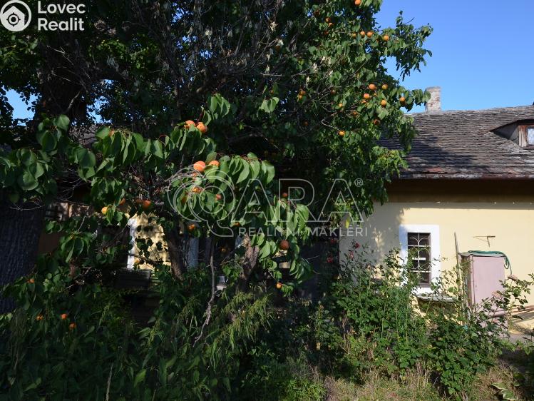 Prodej rodinného domu Pečky, Dobřichovská 243 č. 15