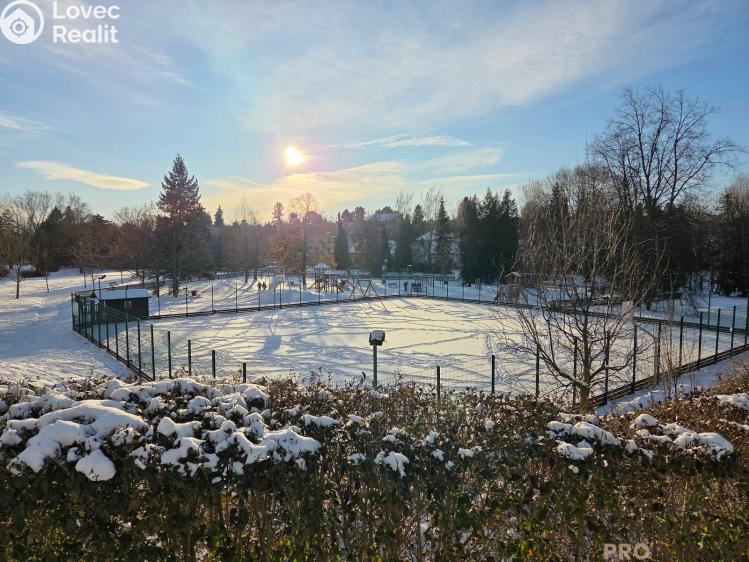 Prodej bytu 3+1 Čáslav, R. Těsnohlídka č. 4