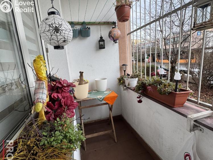 Продажа квартиры 3+1 Praha, Topolová 2572/11 č. 13