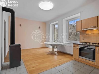 Оренда сімейного будинку Říčany, Hlavní 47 č. 4