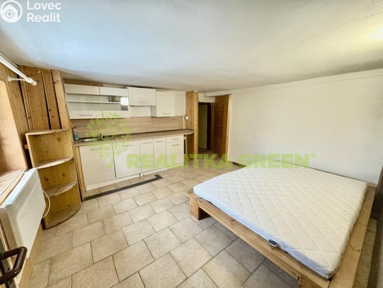 Rent apartment 1+KK Žlutava č. 1