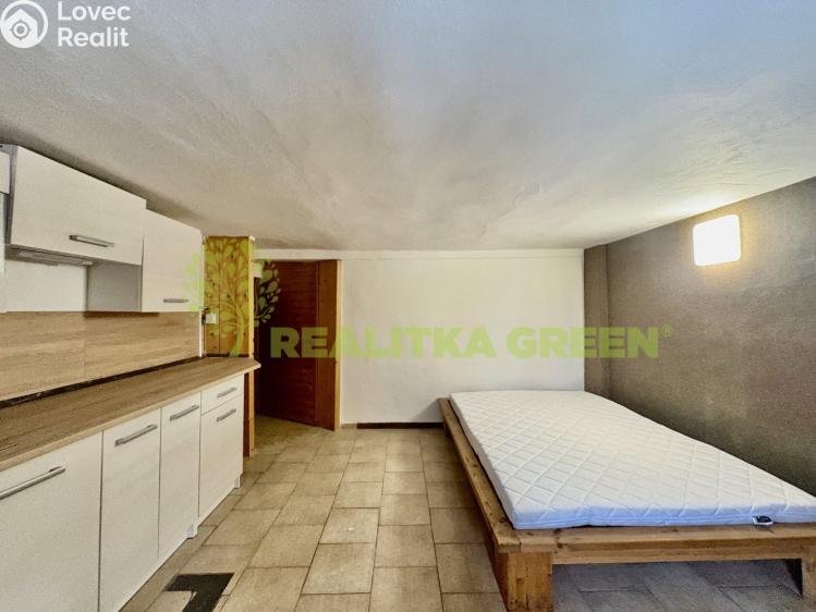 Rent apartment 1+KK Žlutava č. 3