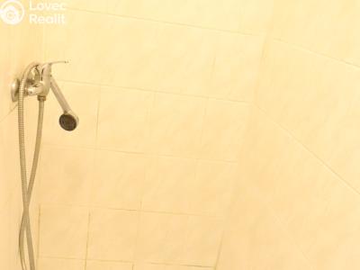 Rent apartment 1+KK Praha, Krásova č. 3